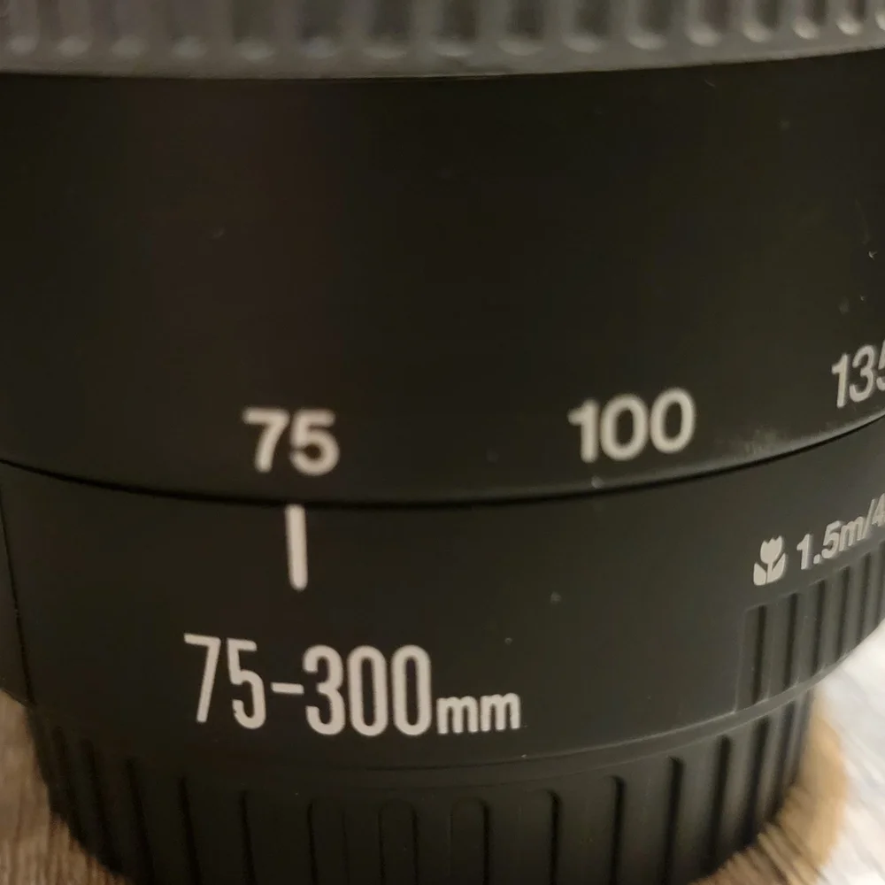 Canon EOS Rebel T5 - Picture 6 of 11